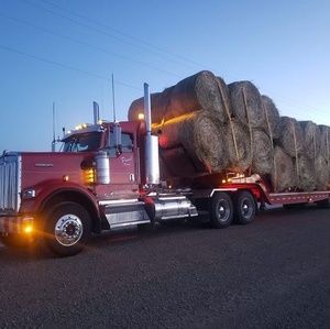 Meet your Posher, Curtis